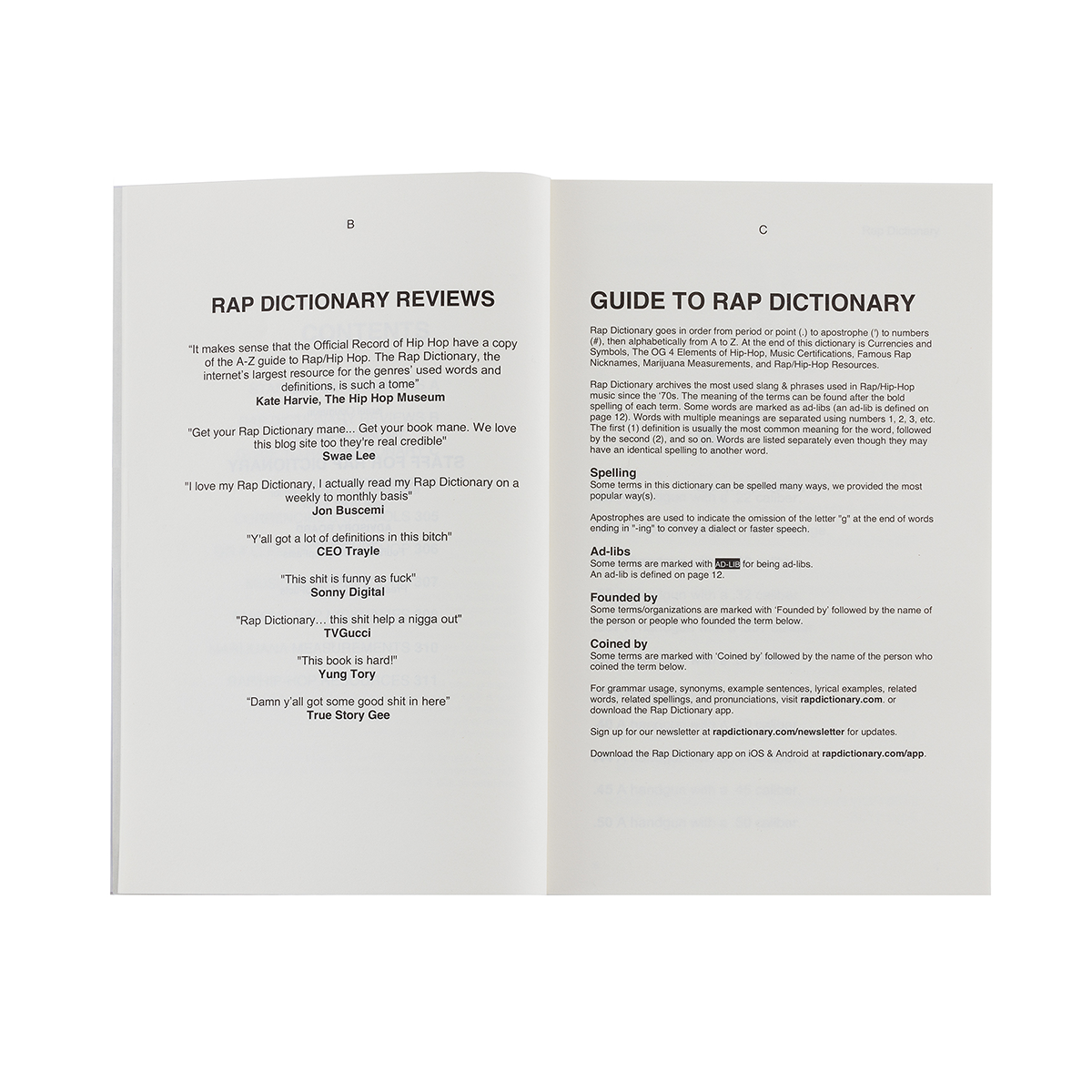 Guide to Rap Dictionary