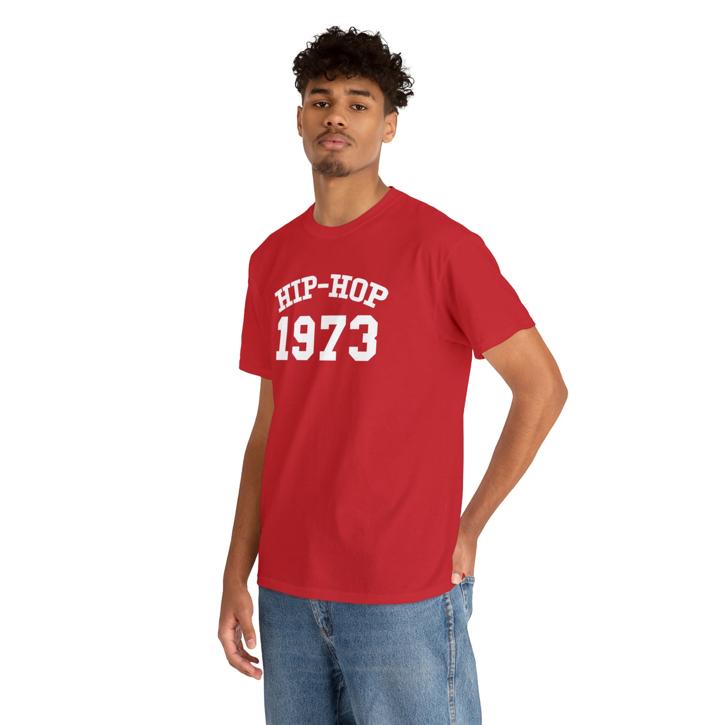 Hip-Hop 1973 T-Shirt, Hip-Hop 50 T-Shirt, Rap Music Tee, Hip-Hop 50th T-Shirt, Hip-Hop 1973 Anniversary Tee, Rap Culture Shirt, Urban Shirt