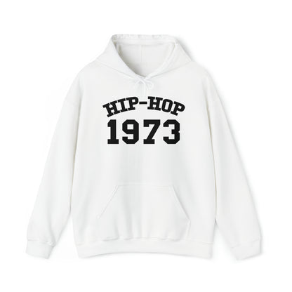 Hip-Hop 1973 Hoodie, Hip-Hop 50 Hoodie, Rap Music Hoodie, Hip-Hop 50th Sweatshirt, Hip-Hop 1973 Anniversary Hoodie, Rap Culture Hoodie