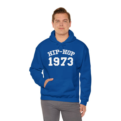 Hip-Hop 1973 Hoodie, Hip-Hop 50 Hoodie, Rap Music Hoodie, Hip-Hop 50th Sweatshirt, Hip-Hop 1973 Anniversary Hoodie, Rap Culture Hoodie