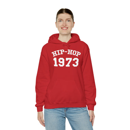 Hip-Hop 1973 Hoodie, Hip-Hop 50 Hoodie, Rap Music Hoodie, Hip-Hop 50th Sweatshirt, Hip-Hop 1973 Anniversary Hoodie, Rap Culture Hoodie