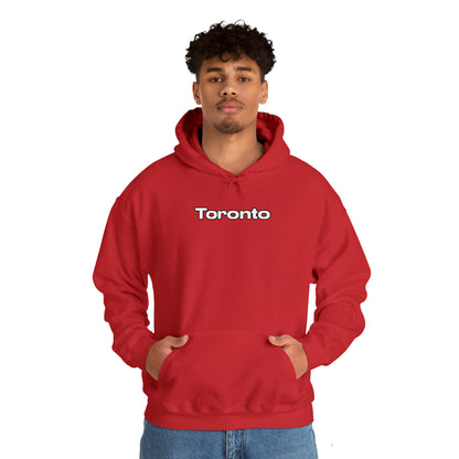 Toronto Hoodie Sweatshirt Great Gift for Toronto Native, Toronto Hoodie