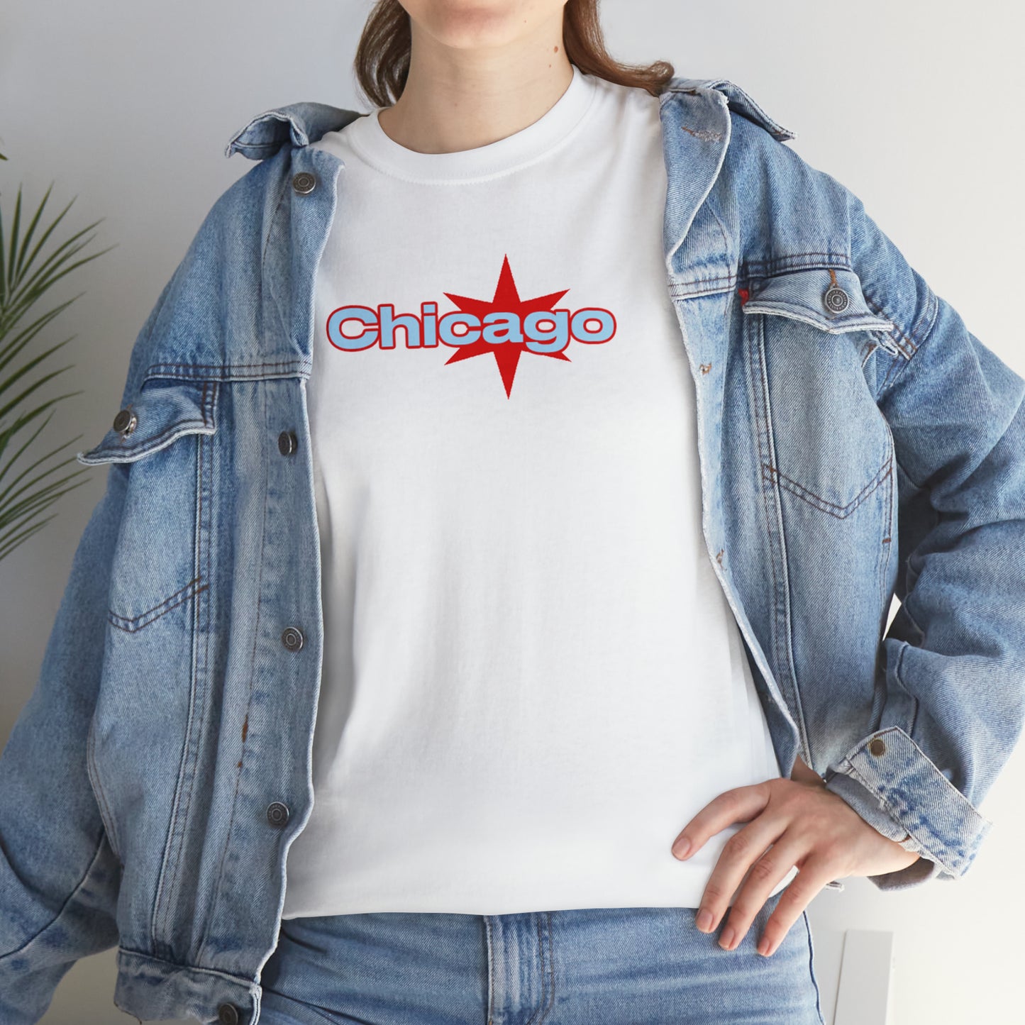 Chicago Flag T-Shirt