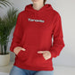 Toronto Hoodie Sweatshirt Great Gift for Toronto Native, Toronto Hoodie
