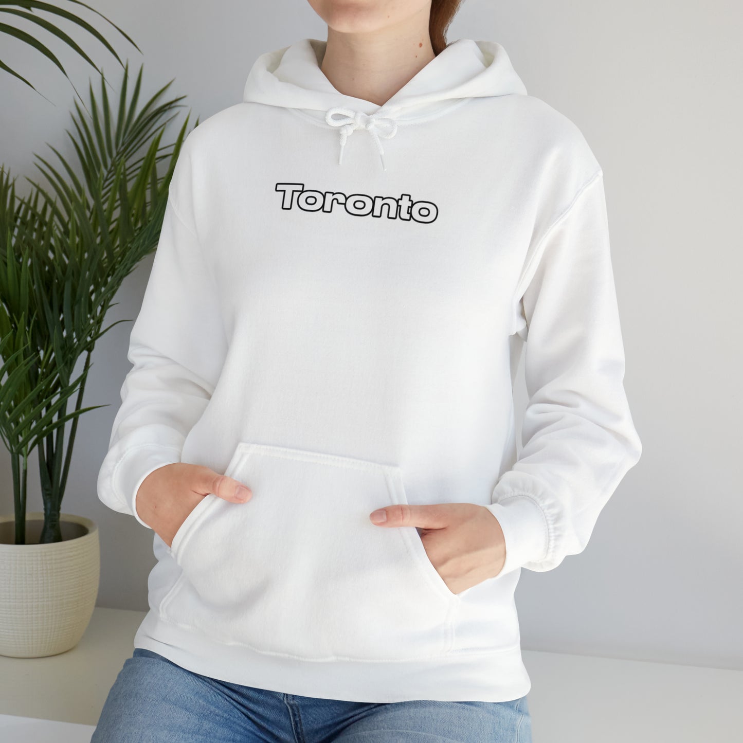 Toronto Hoodie Sweatshirt Great Gift for Toronto Native, Toronto Hoodie